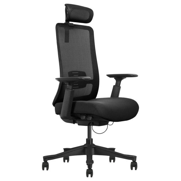SKILLCHAIRS Ergo Diva SKILLCHAIRS Ergo Diva